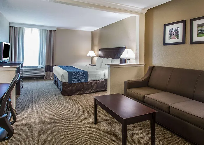 Comfort Inn & Suites Deland - Near University