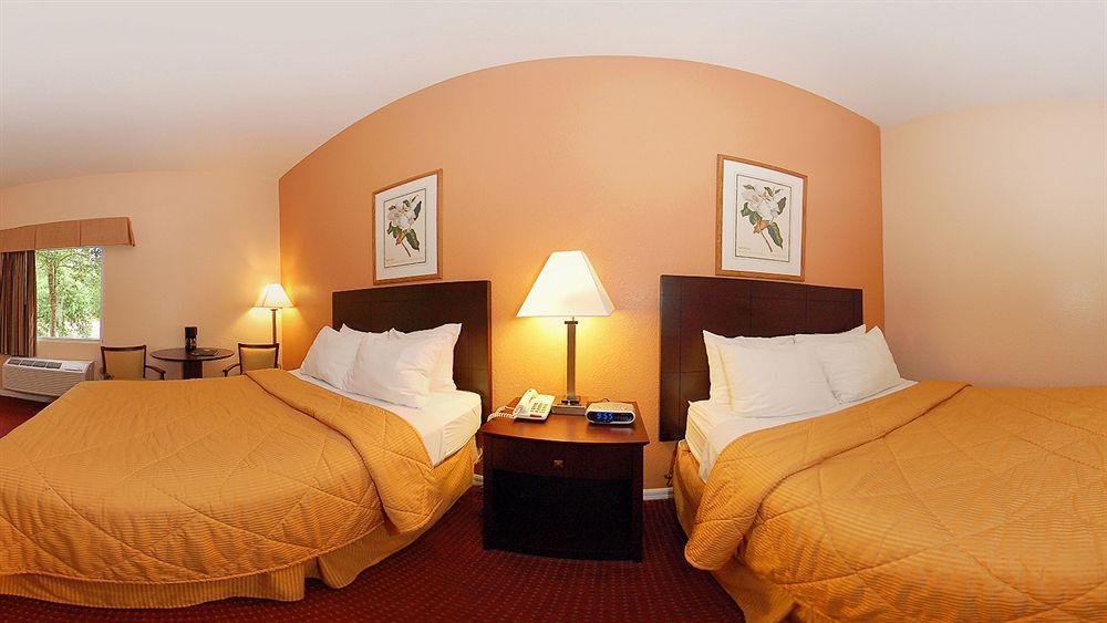 Comfort & - Near University